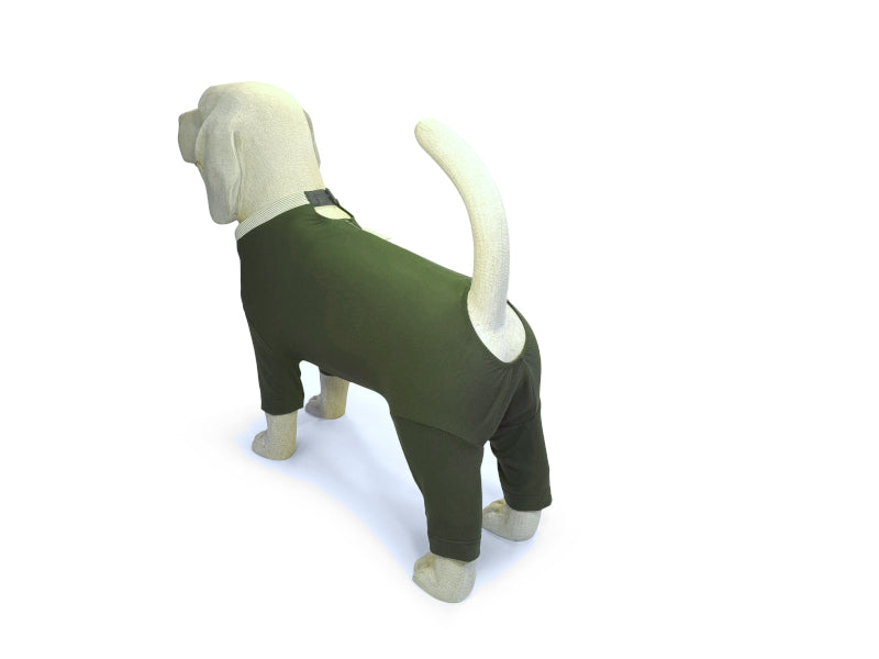 Hundebody Piet für Rüden – 3/4 Bein, allergikerfreundlich, Wundschutz