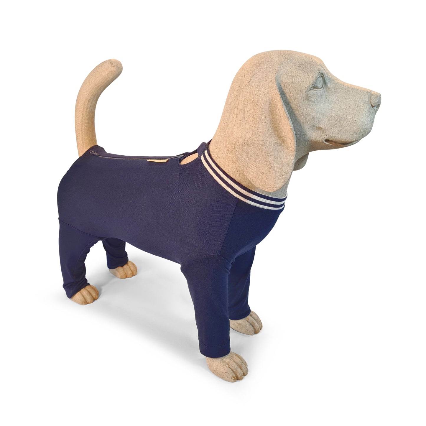 Ein Beagle-Modell trägt einen Hundebody mit langen Beinen in Marineblau mit teilbarem Reißverschluss.