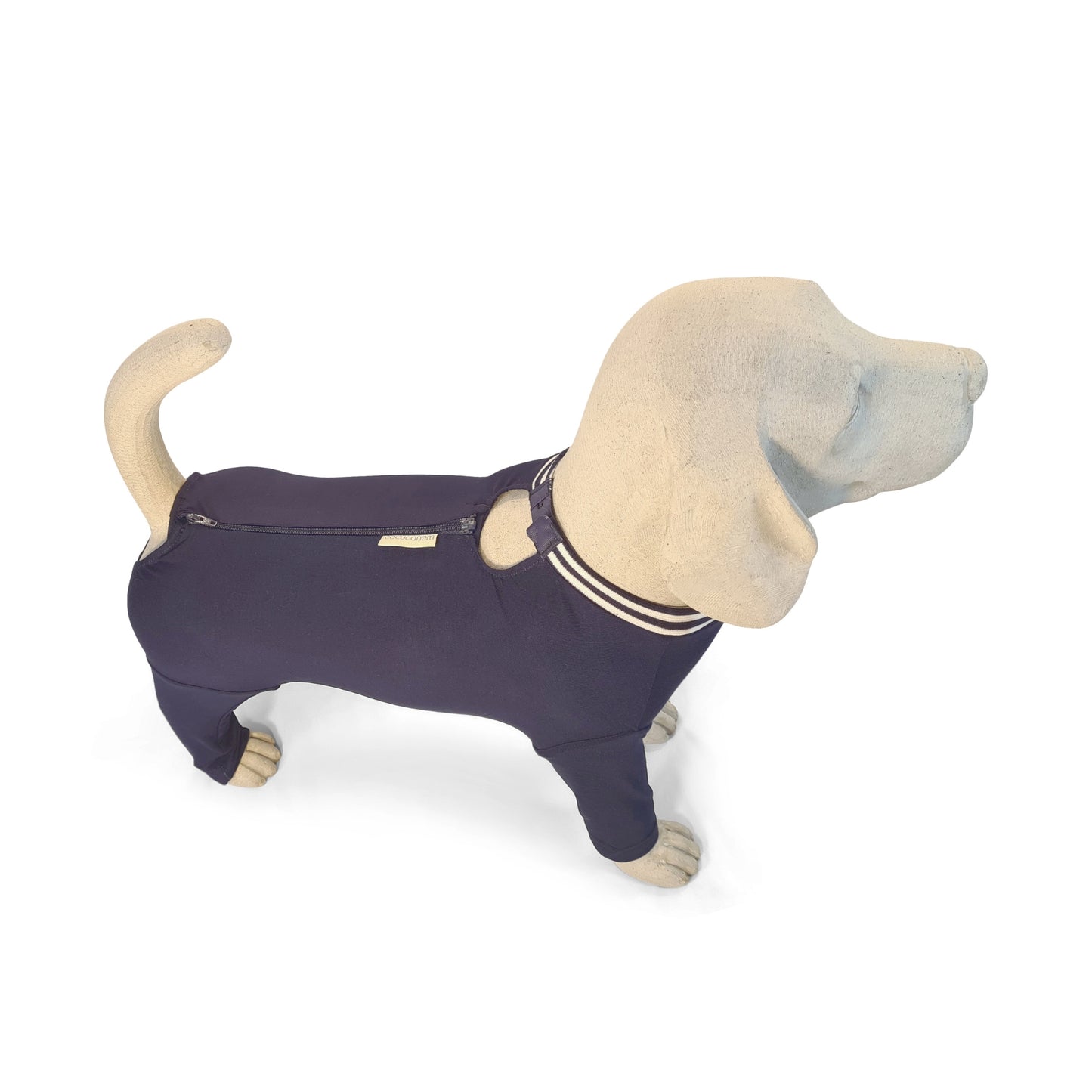 Ein Beagle Modell aus Beton trägt den Hundepyjama Mailo. Zu sehen ist der Pyjama von oben. Neben der Wirbelsäule verläuft der teilbare Reißverschluss und der Haken-Ösen-Verschluss am Halsbündchen. 