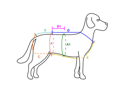 Skizze eines Hundes mit Linien, die zeigen, wie richtig am Hund maßgenommen wird. A ist der Taillenumfang, A1 ist nur für Rüden relevant und ist der Umfang des letzten Rippenbogens, B ist die Strecke Taille Rückenseite bis Rutenansatz, B1 ist nur für Rüden relevant und ist die Strecke Taille bis letzter Rippenbogen, C ist die Strecke Rutenansatz bis Taille Bauchseite, D ist die Strecke Taille Rückenseite bis Brustbein, E ist die Strecke vorderes Brustbein bis Taille Bauchseite.