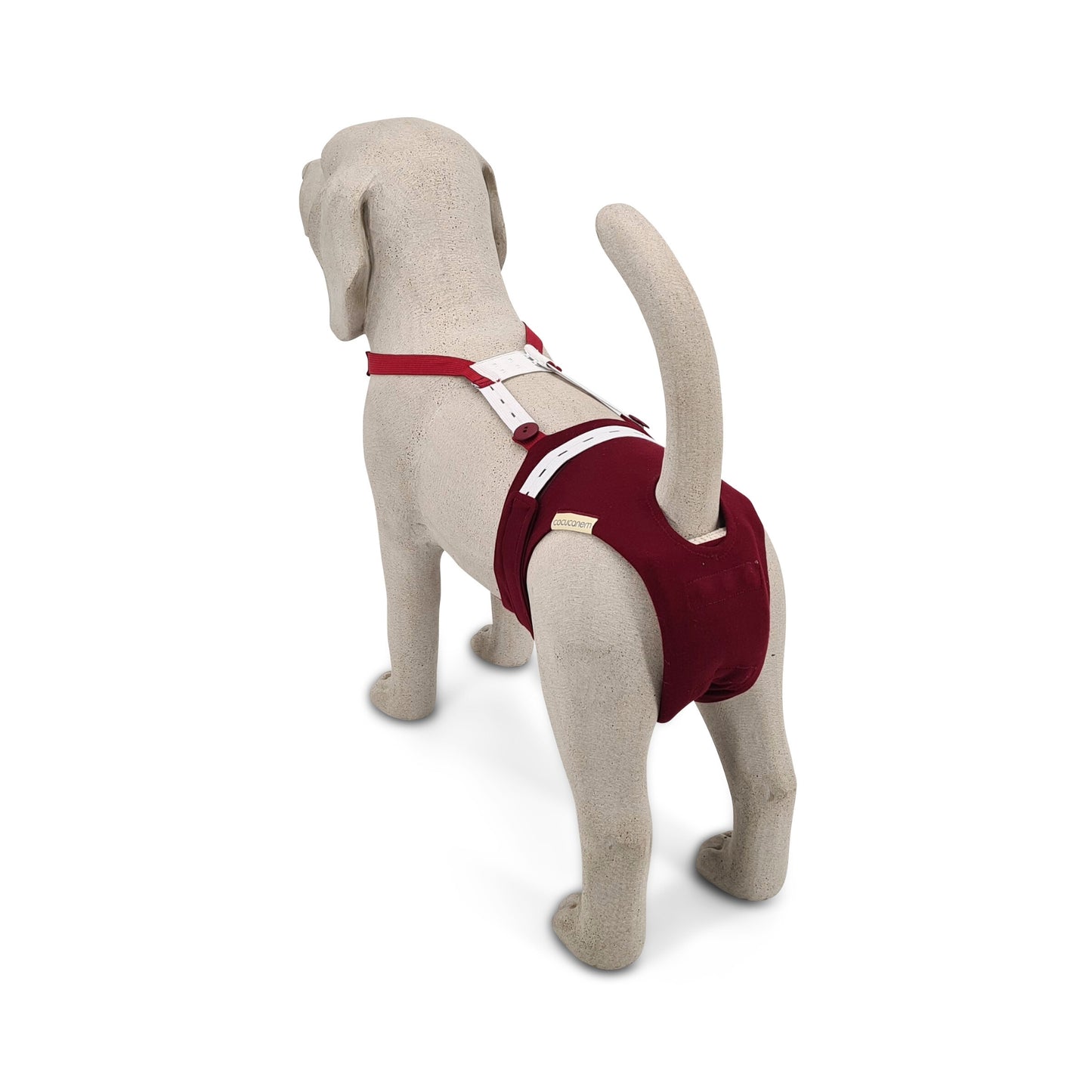 Inkontinenzhose für Hündinnen am Beagle Beton Modell. Die Träger aus Gummiband verlaufen vom Brustbein kommend um den Hals und werden an Knöpfen an der Hose fixiert. Ein BH-Verschluss hält die Träger auf Höhe der Schulterblätter zusammen. Man sieht die Rute aus dem Rutenloch kommend.