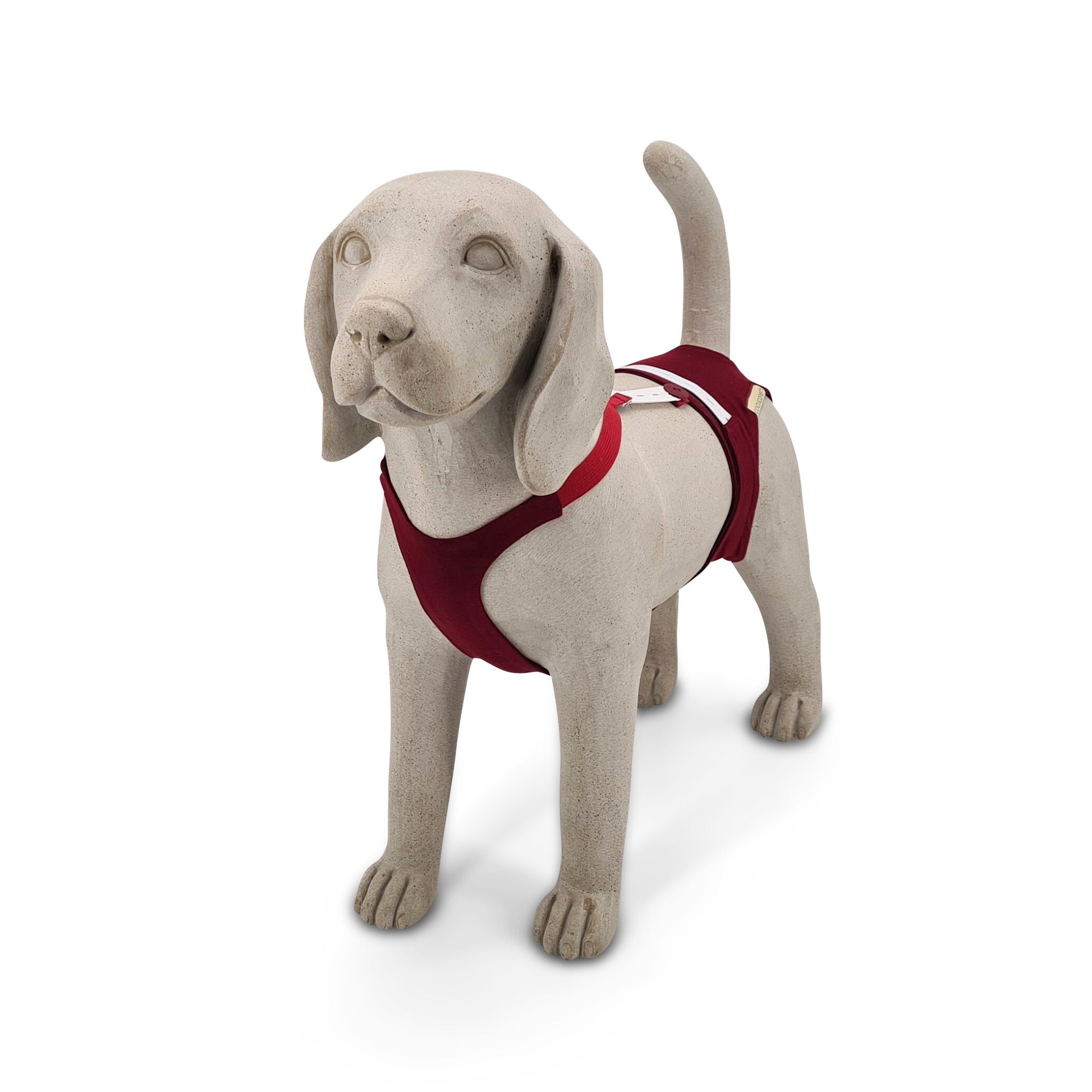 Inkontinenzhose für Hündinnen. Zeigt die Trägerhose von vorne. Das Bambusjersey schmiegt sich wie ein Y Brustgeschirr um das Brustbein.