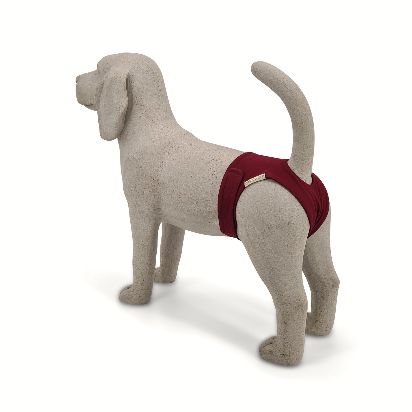 Rückansicht der Läufigkeitshose Lexie am Beagle Betonmodell. Die Rute ist durch ein Rutenloch in der Hose eingefädelt.