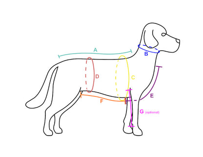 Skizze eines Hundes mit Linien, die zeigen, wie richtig am Hund maßgenommen wird. A ist die Rückenlänge B ist der Halsumfang, C ist der Brustumfang, D ist der Taillenumfang, E ist die Strecke vom Brustbein bis knapp hinter die Vorderläufe, F ist die Strecke von knapp hinter den Vorderläufen bis zum Beginn der Hinterläufe, G ist optional noch die Beinlänge