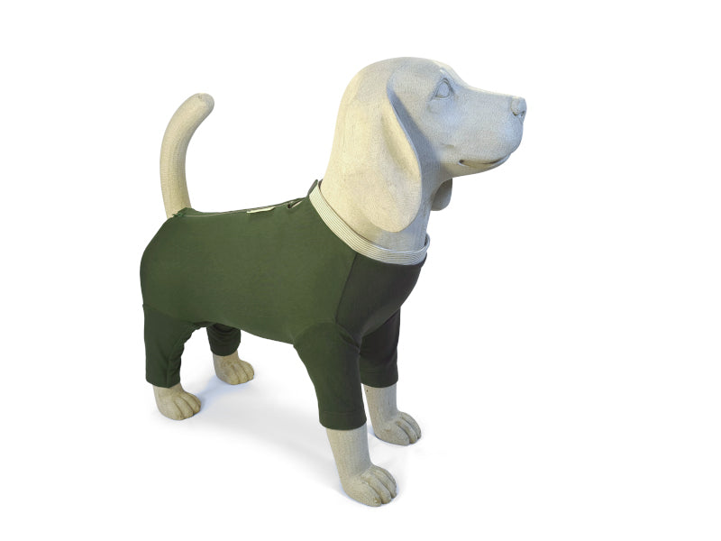 Ein Beagle-Modell trägt einen Hundebody mit 3/4 langen Beinen in Olivegrün mit teilbarem Reißverschluss.