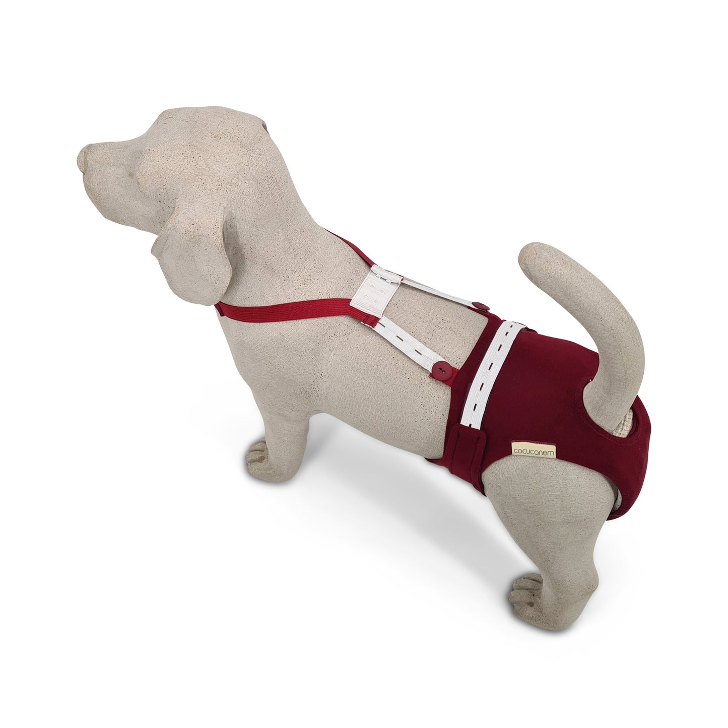 Inkontinenzhose für Hündinnen am Beagle Beton Modell. Am Rücken verlaufen Knopflochgummibänder, mit denen man die Trägerlänge passend einstellen kann. Ein BH Verschluss auf Schulterhöhe hält die Träger vom Brustbein kommend zusammen.